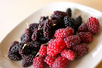 3-day-juice-fast-plan 3 Day Juice Fast Plan