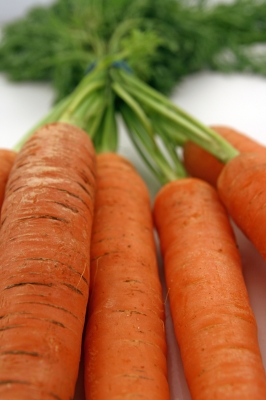 carrot-juice-recipes Carrot Juice Recipes