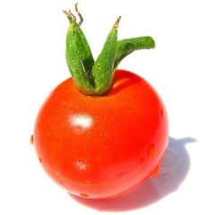 health-benefits-of-juicing-tomato Health Benefits of Juicing Tomato
