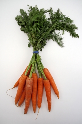 Carrot Juice Fast