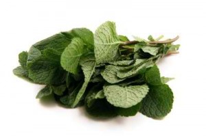 health-benefits-of-mint-leaves Health Benefits Of Mint Leaves