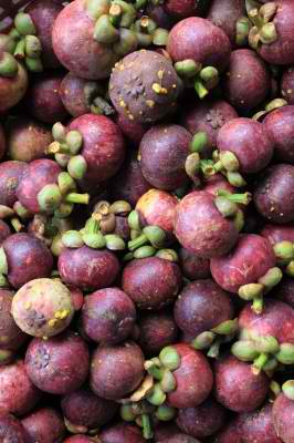 Mangosteen Health Benefits