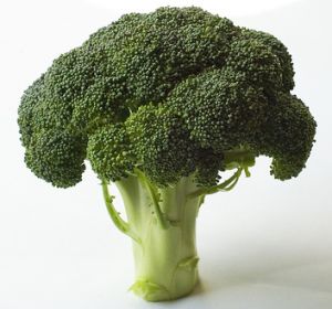 Broccoli Juicer Recipes