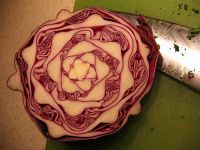 Cabbage Juicer Recipes