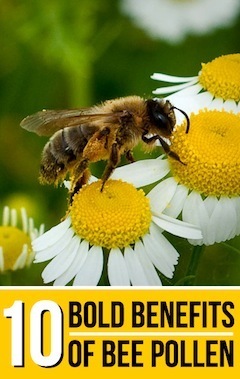 health-benefits-of-bee-pollen