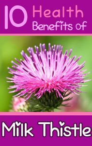 health-benefits-of-milk-thistle