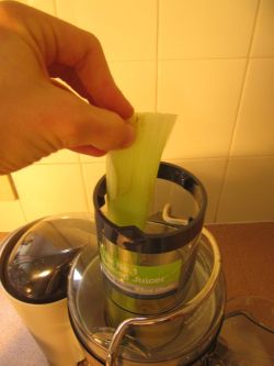Juicing Basics - How to Use Your Juicer