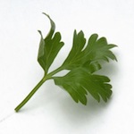 Parsley Health Benefits